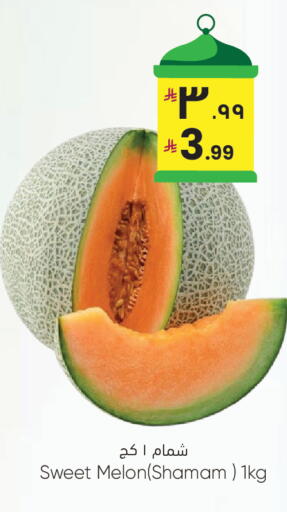 Melon available at City Flower in KSA, Saudi Arabia, Saudi - Riyadh