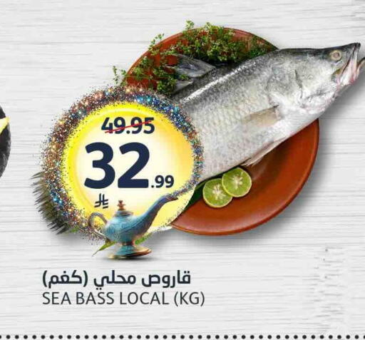 available at AlJazera Shopping Center in KSA, Saudi Arabia, Saudi - Riyadh