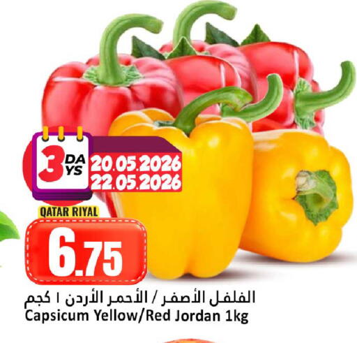 Capsicum from Qatar Jordan available at دانة هايبرماركت in قطر - الوكرة