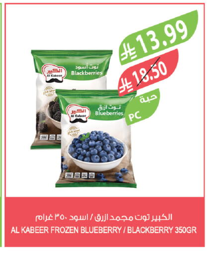 Blueberry BlueBerry Blackberry available at المزرعة in مملكة العربية السعودية, السعودية, سعودية - سيهات