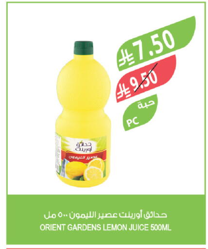 Lemon available at المزرعة in مملكة العربية السعودية, السعودية, سعودية - سيهات