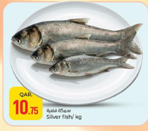 available at باريس هايبرماركت in قطر - الريان