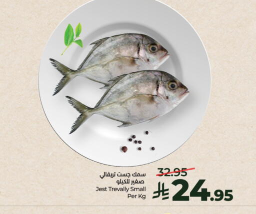 available at لولو هايبرماركت in مملكة العربية السعودية, السعودية, سعودية - الخرج