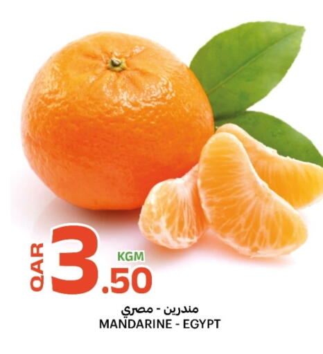 from Egypt available at Al Baladi Al Yawm in Qatar - Al-Shahaniya