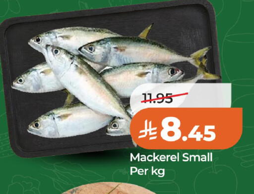 available at لولو هايبرماركت in مملكة العربية السعودية, السعودية, سعودية - الخبر‎