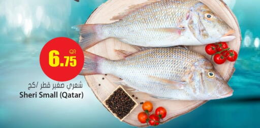 available at جراند هايبرماركت in قطر - الوكرة