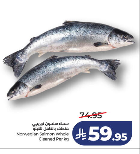available at لولو هايبرماركت in مملكة العربية السعودية, السعودية, سعودية - خميس مشيط