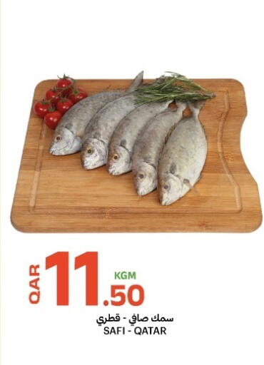 available at Al Baladi Al Yawm in Qatar - Doha