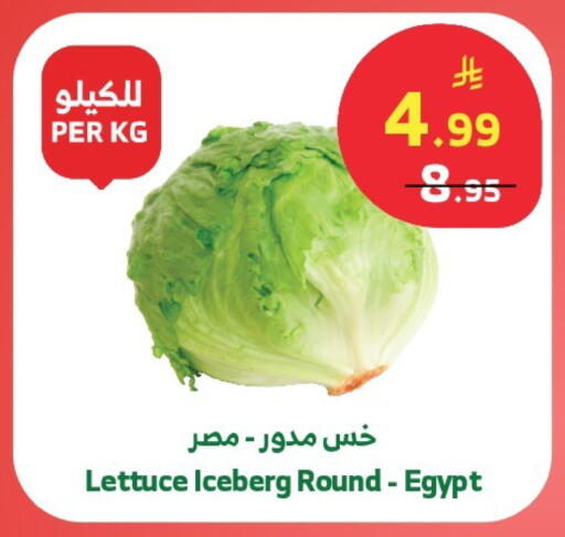 Lettuce from Egypt available at الراية in مملكة العربية السعودية, السعودية, سعودية - خميس مشيط
