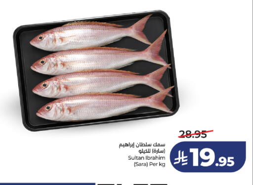 available at لولو هايبرماركت in مملكة العربية السعودية, السعودية, سعودية - خميس مشيط