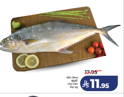 available at لولو هايبرماركت in مملكة العربية السعودية, السعودية, سعودية - خميس مشيط