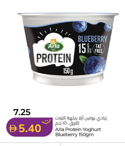 Blueberry BlueBerry available at لولو هايبرماركت in الإمارات العربية المتحدة , الامارات - دبي