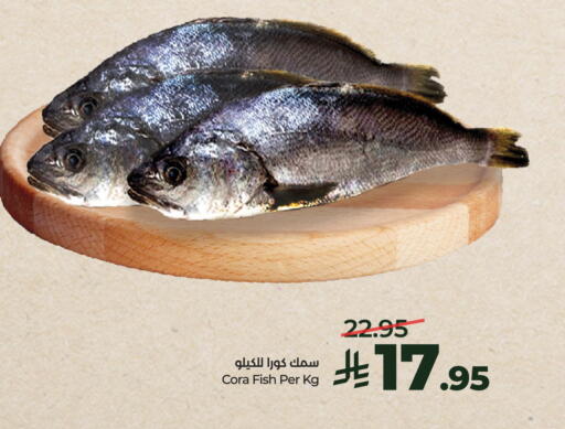 available at لولو هايبرماركت in مملكة العربية السعودية, السعودية, سعودية - الخرج