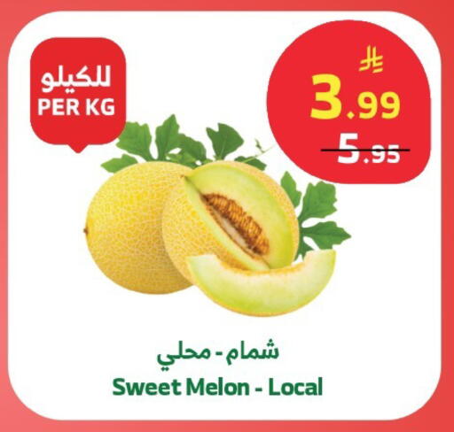 Melon available at الراية in مملكة العربية السعودية, السعودية, سعودية - خميس مشيط