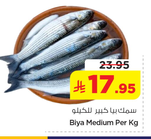 available at نستو in مملكة العربية السعودية, السعودية, سعودية - الخرج