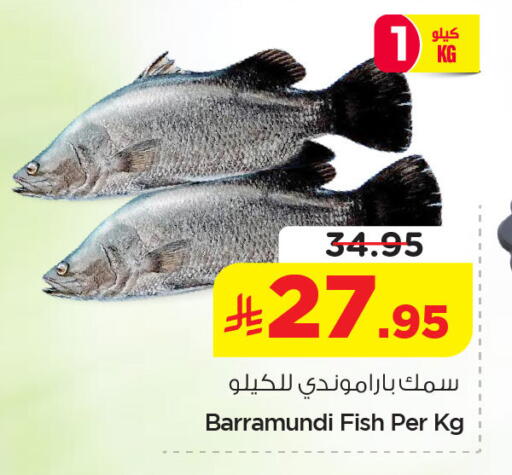 available at نستو in مملكة العربية السعودية, السعودية, سعودية - الخبر‎