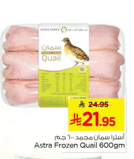 available at Nesto in KSA, Saudi Arabia, Saudi - Al Khobar