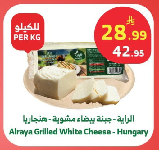 available at الراية in مملكة العربية السعودية, السعودية, سعودية - خميس مشيط