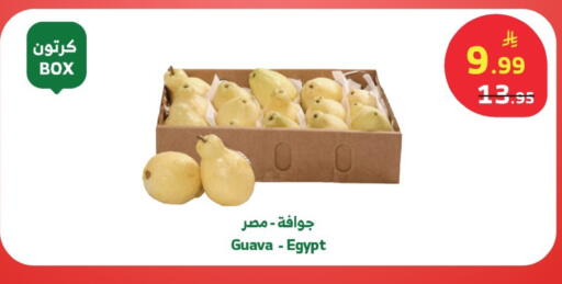 Guava from Egypt available at الراية in مملكة العربية السعودية, السعودية, سعودية - خميس مشيط