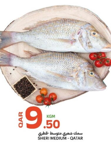 available at Al Baladi Al Yawm in Qatar - Doha
