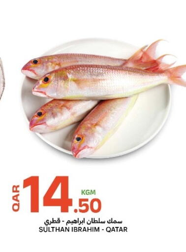 available at Al Baladi Al Yawm in Qatar - Doha