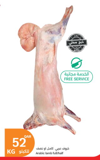 available at سيتي هايبرماركت in قطر - أم صلال
