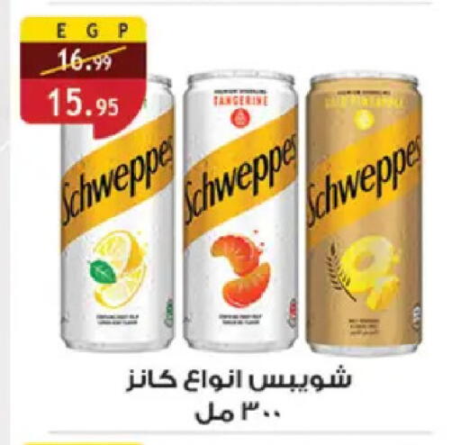 available at Al Rayah Market   in Egypt - Cairo