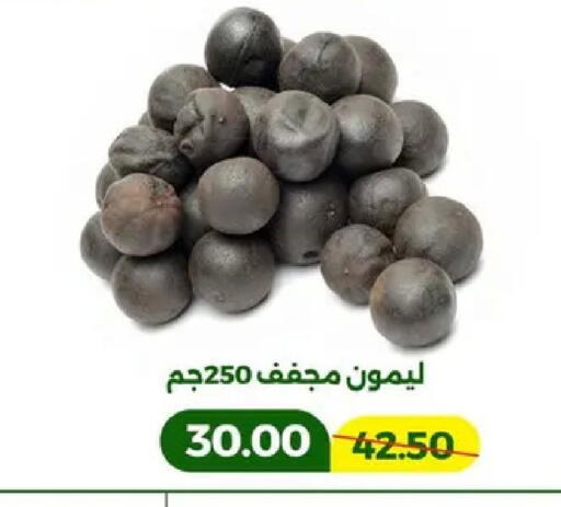 available at Green Tree Hypermarket - Sohag in Egypt - Cairo
