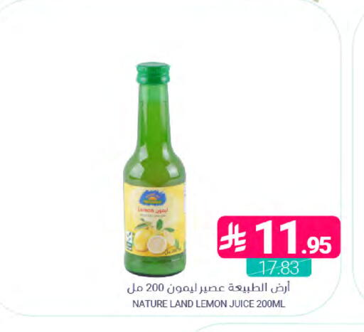 Lemon available at Muntazah Markets in KSA, Saudi Arabia, Saudi - Saihat