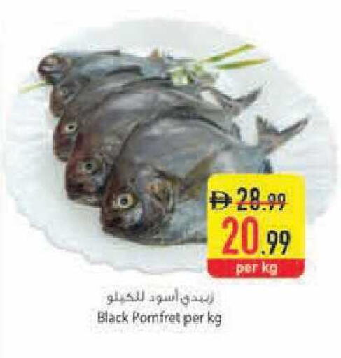 available at السفير ماركت in الإمارات العربية المتحدة , الامارات - أبو ظبي