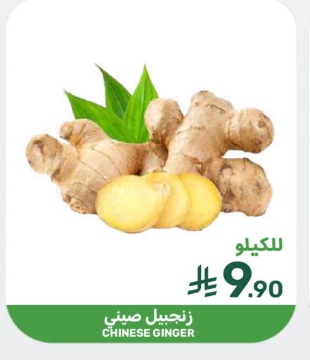 Ginger from China available at  مـزايــا in مملكة العربية السعودية, السعودية, سعودية - سيهات