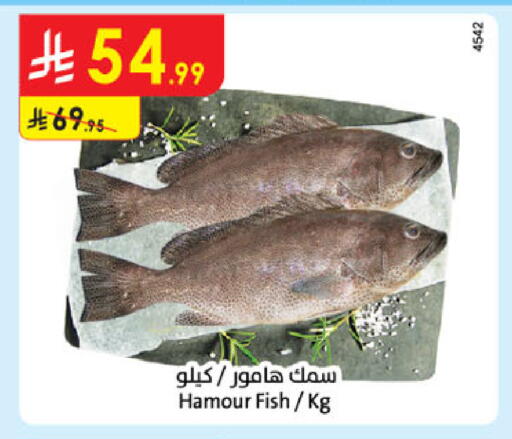 available at Danube in KSA, Saudi Arabia, Saudi - Khamis Mushait
