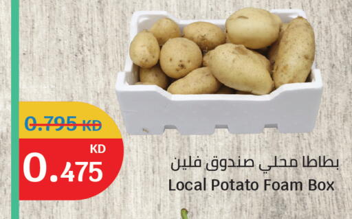 Potato available at City Hypermarket in Kuwait - Ahmadi Governorate