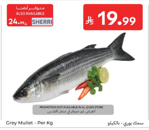 available at كارفور in مملكة العربية السعودية, السعودية, سعودية - المدينة المنورة