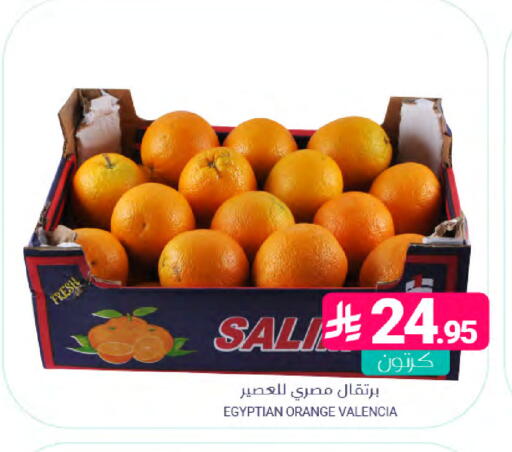 Orange from Egypt available at Muntazah Markets in KSA, Saudi Arabia, Saudi - Saihat