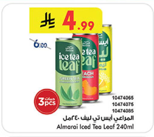 available at بن داود in مملكة العربية السعودية, السعودية, سعودية - المدينة المنورة