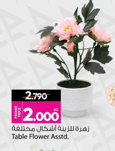 available at أنصار جاليري in البحرين