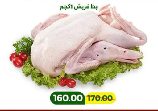 available at جرين تري هايبرماركت - سوهاج in Egypt - القاهرة