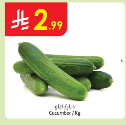 Cucumber available at Danube in KSA, Saudi Arabia, Saudi - Jazan