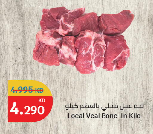 available at سيتي هايبرماركت in الكويت - مدينة الكويت