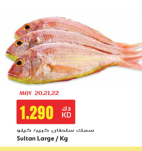 available at جراند هايبر in الكويت - مدينة الكويت