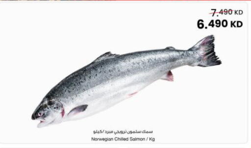 available at مركز سلطان in الكويت - مدينة الكويت