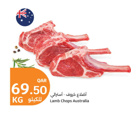 available at سيتي هايبرماركت in قطر - أم صلال