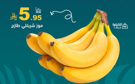 available at أسواق رامز in مملكة العربية السعودية, السعودية, سعودية - المنطقة الشرقية