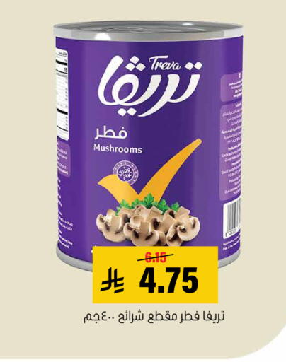 available at Al Amer Market in KSA, Saudi Arabia, Saudi - Al Hasa