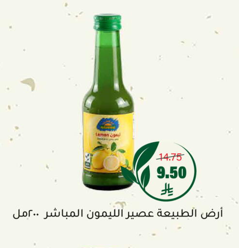 Lemon available at Al Amer Market in KSA, Saudi Arabia, Saudi - Al Hasa