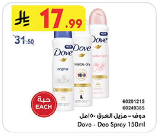 available at بن داود in مملكة العربية السعودية, السعودية, سعودية - المدينة المنورة