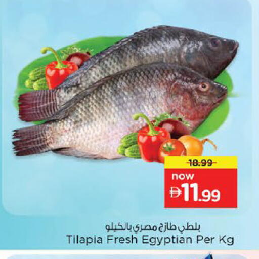 available at نستو هايبرماركت in الإمارات العربية المتحدة , الامارات - رَأْس ٱلْخَيْمَة