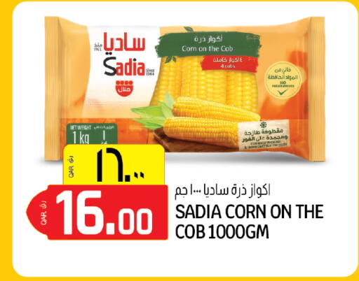 available at كنز ميني مارت in قطر - الشمال