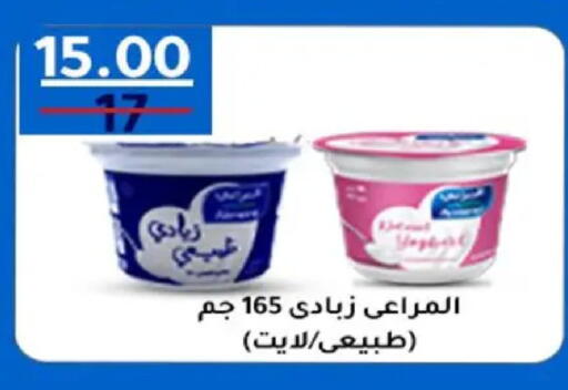 available at وكالة المنصورة - الدقهلية‎ in Egypt - القاهرة